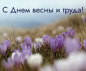 Поздравляем с 01 мая - Днем Весны и Труда!